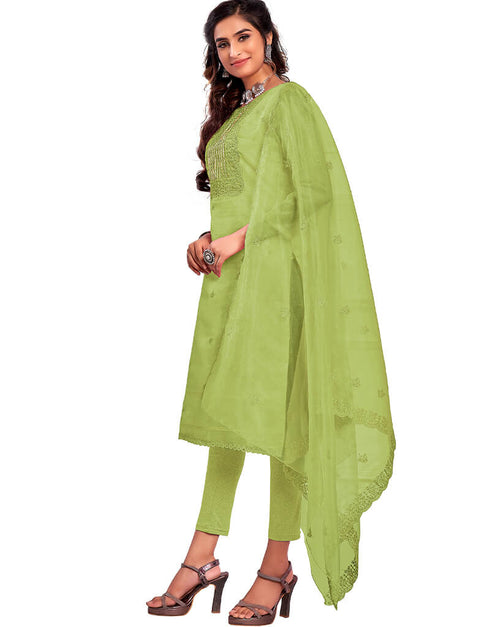 Green Organza Chudidar Salwar Suit Back View