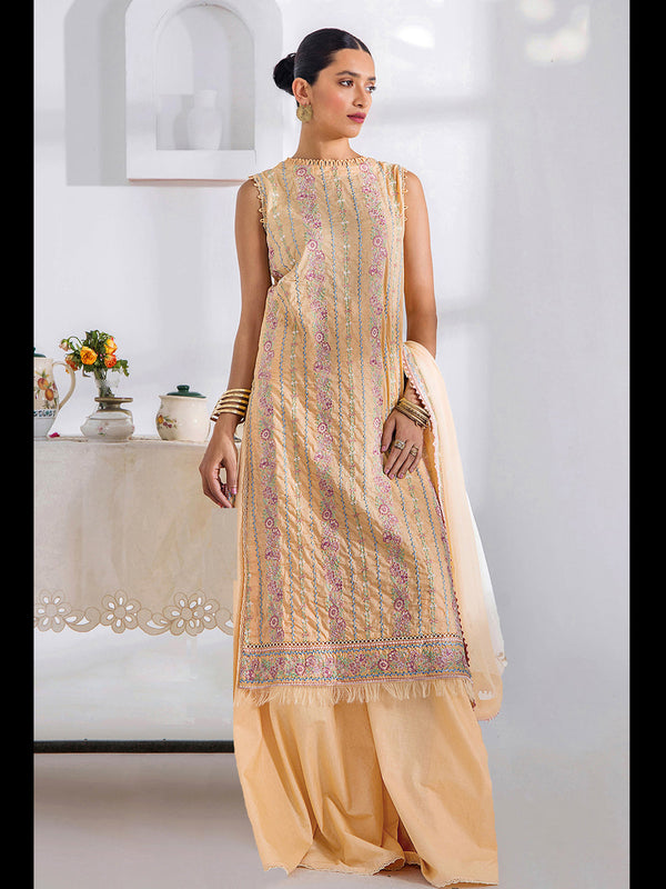 Cream Heavy Cotton Palazzo Suit 199774