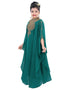 Chic Green Georgette Hand Zari Embroidery Farasha
