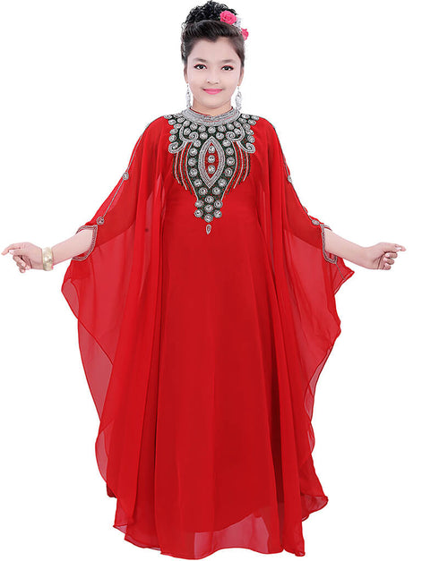 Women Ruby Red Georgette Hand Zari Embroidery Farasha