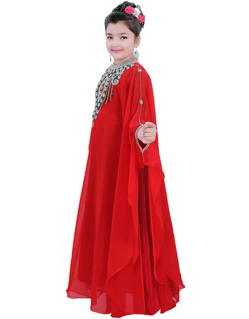 Women Ruby Red Georgette Hand Zari Embroidery Farasha